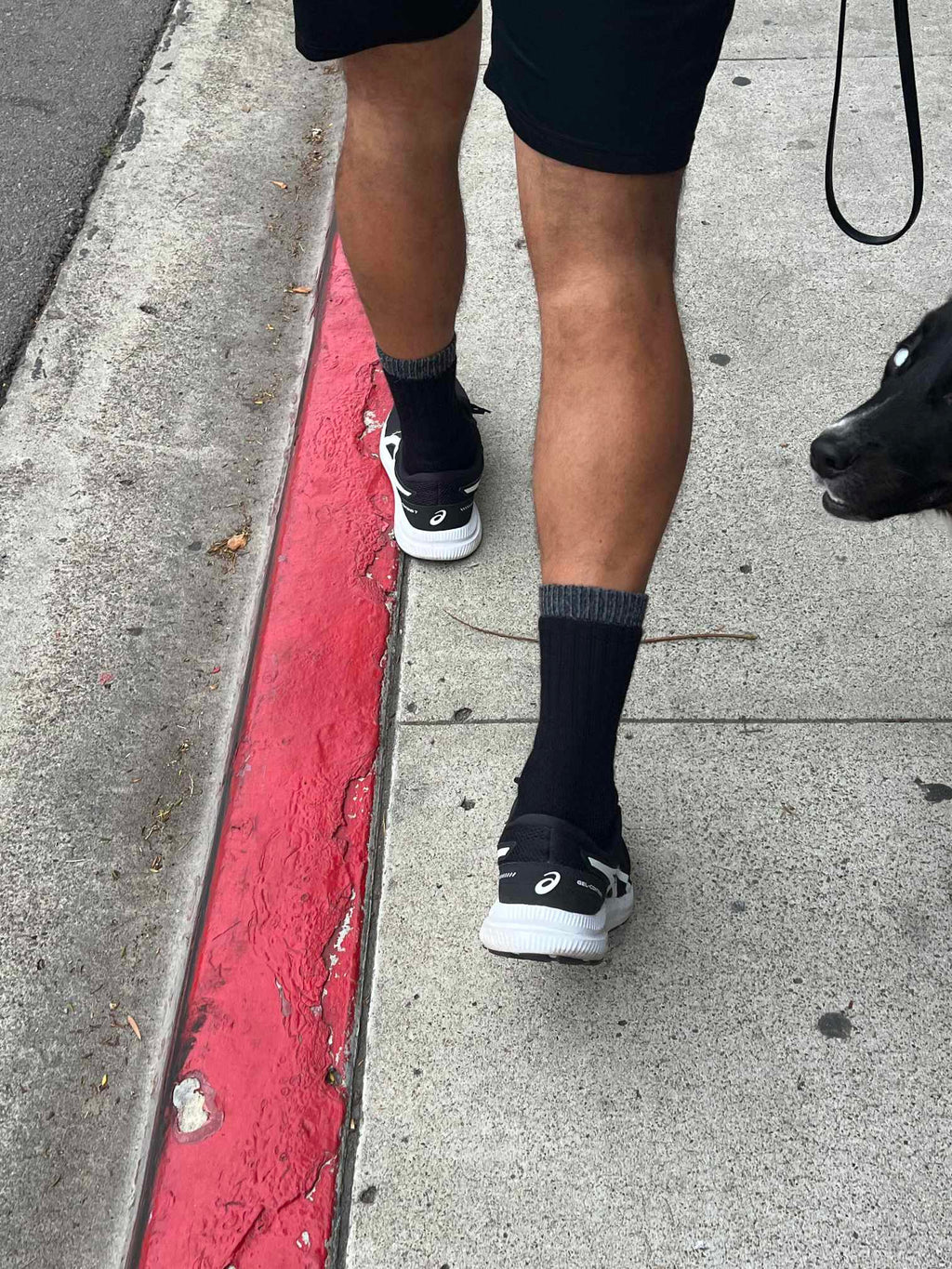 Outdoor Adventure Alpaca Socks
