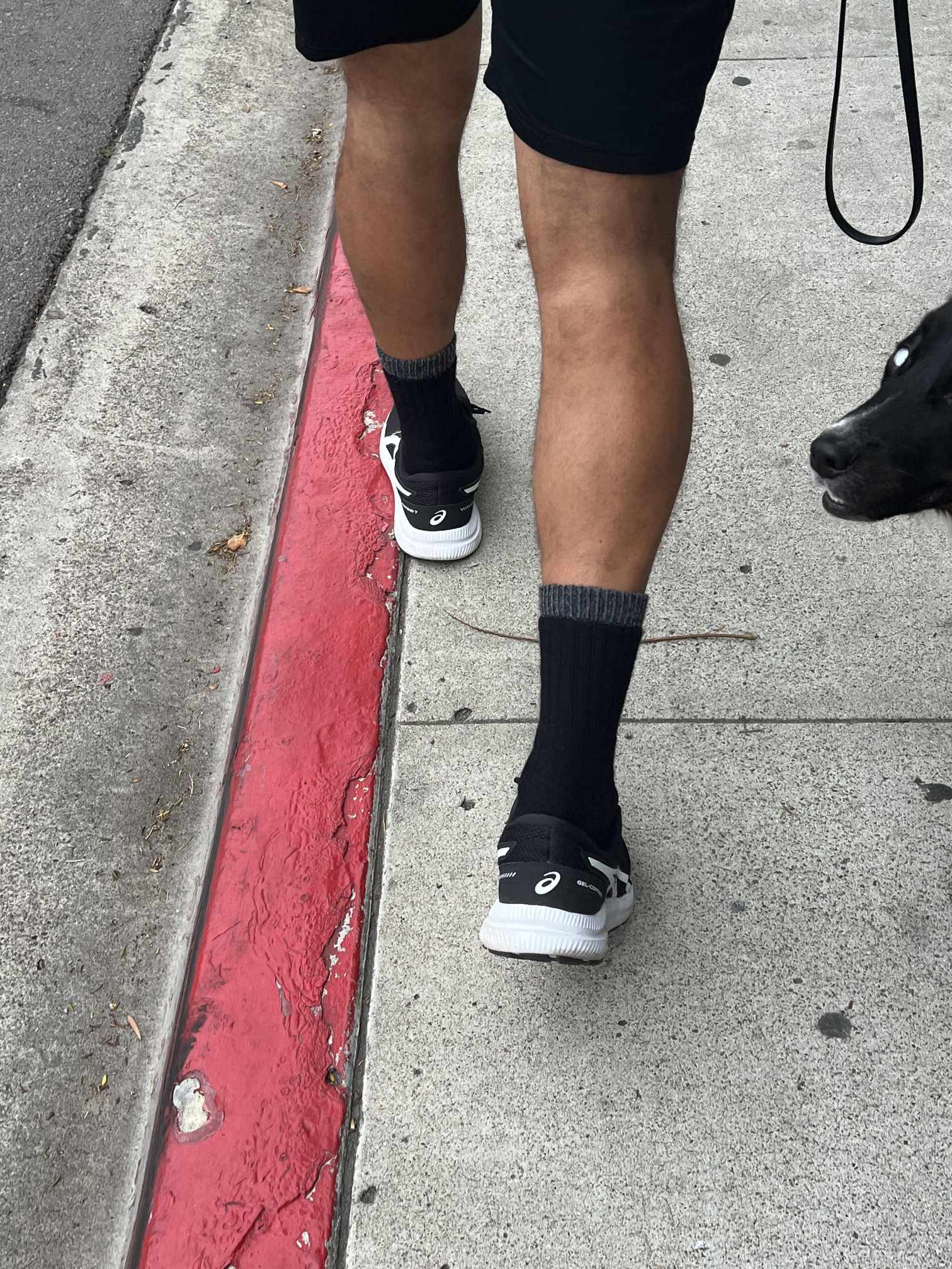 Outdoor Adventure Alpaca Socks